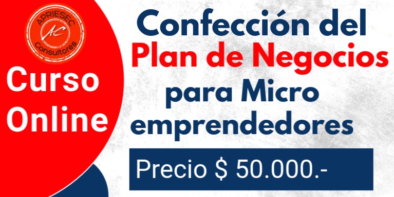 Curso Plan de Negocios para Micro emprendedores